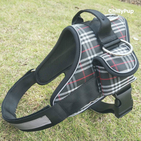 Tartan patterned dog harness on grass with 'ChillyPup' branding