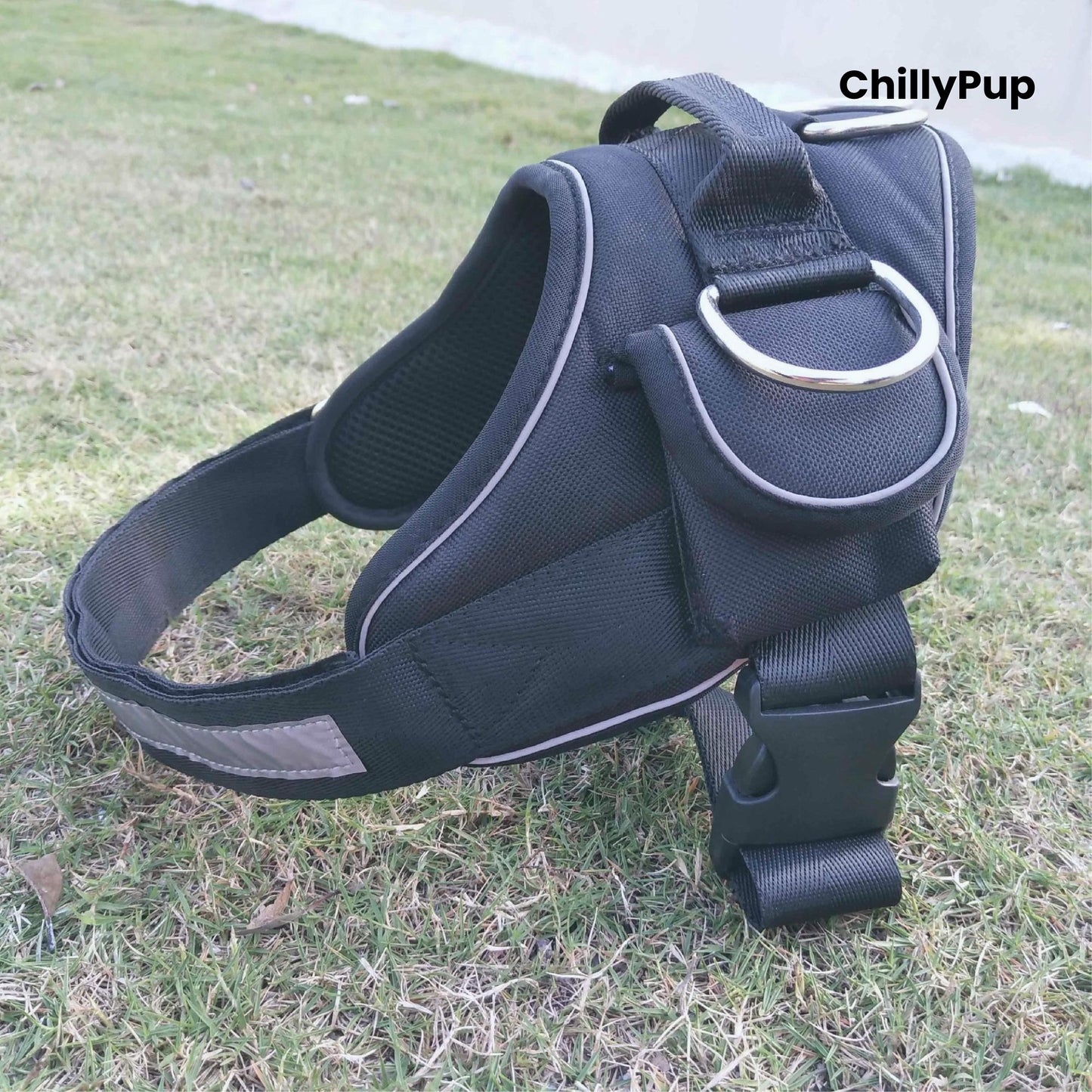 Black dog harness on grass with 'ChillyPup' branding