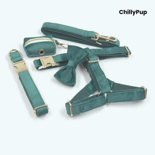 Velvet Dog Collar, Harness & Lead Set on a white background with Chillypup branding
