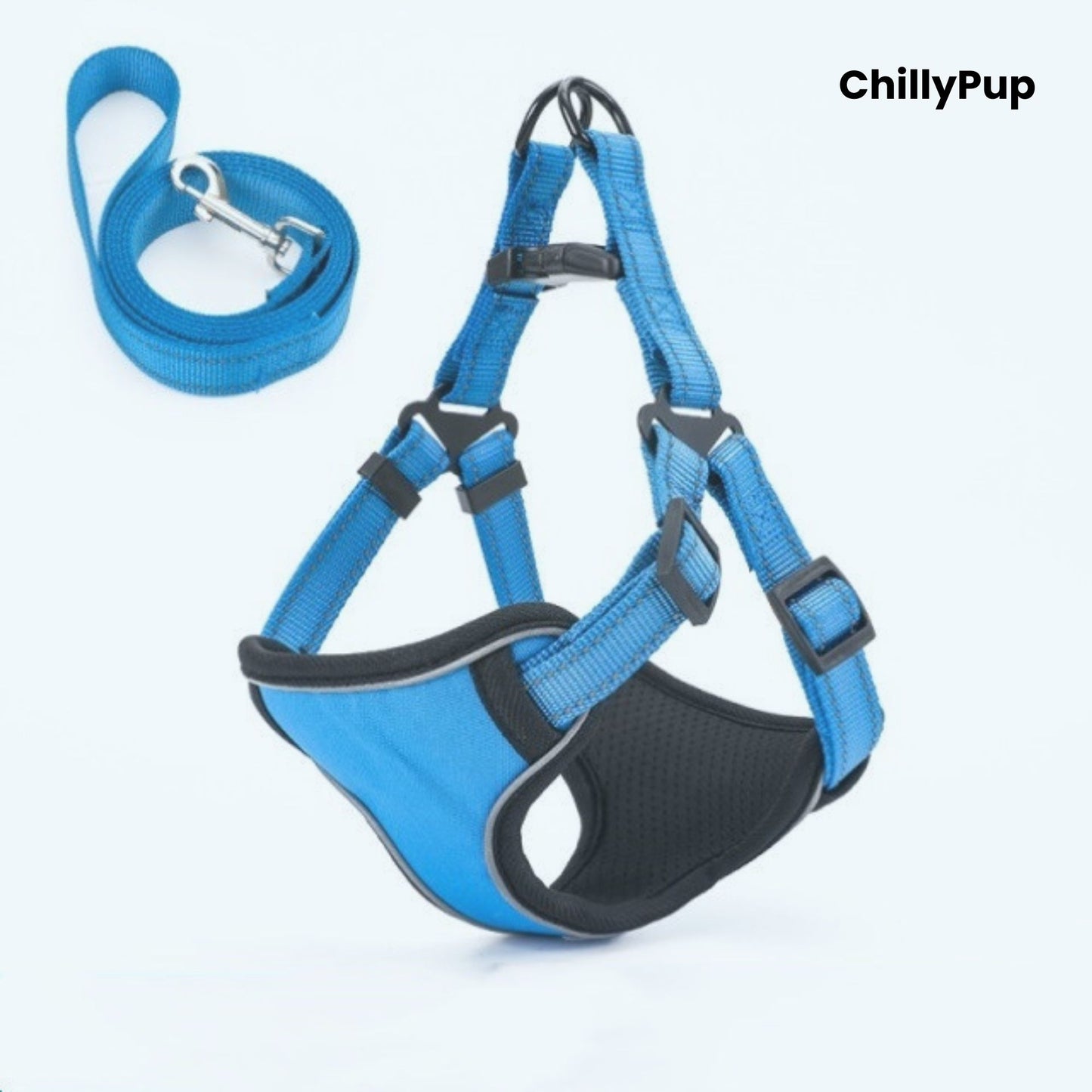 Blue dog harness and lead set with 'ChillyPup' branding on a white background