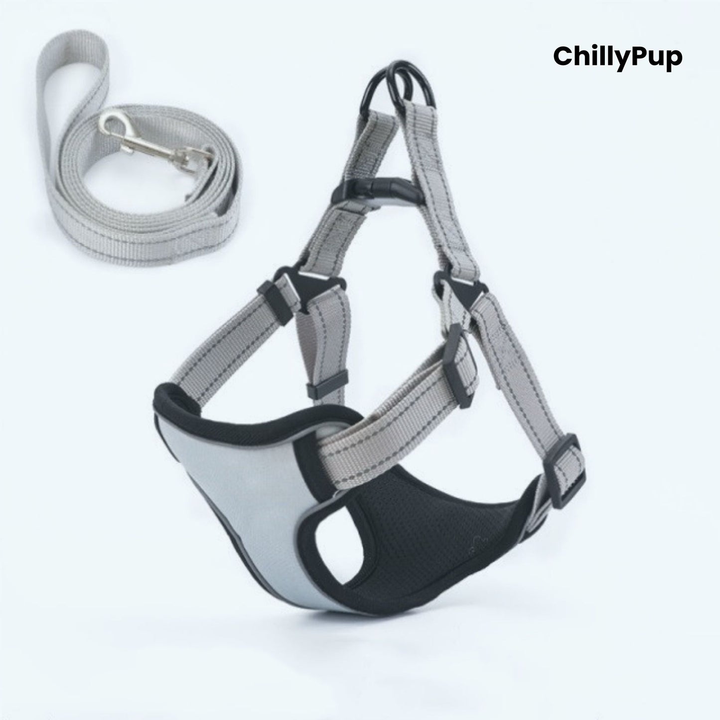 Grey dog harness and lead set with 'ChillyPup' branding on a white background