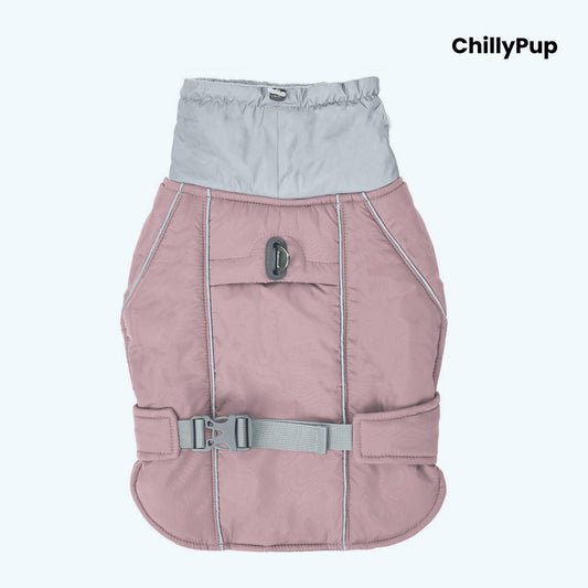 All-Weather Adventure Dog Coat on a white background with ChillyPup branding