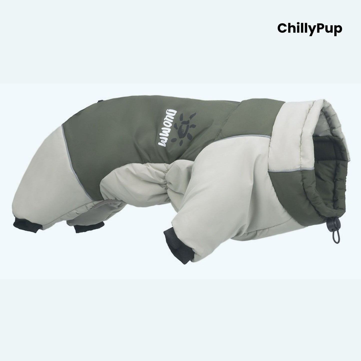 Green dog coat with 'ChillyPup' branding on a light blue background