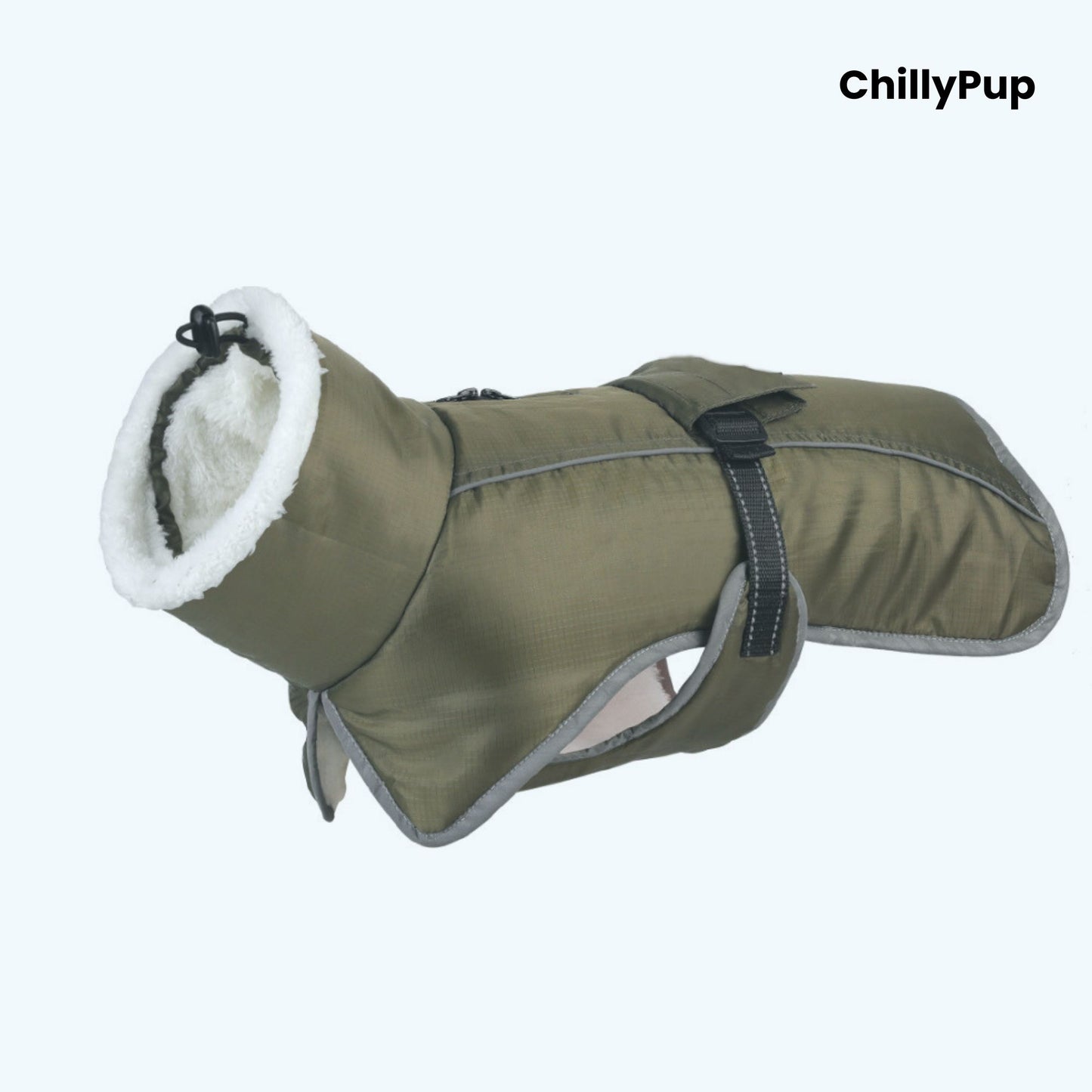 Green dog coat with white fur lining on a white background, branded 'ChillyPup'.