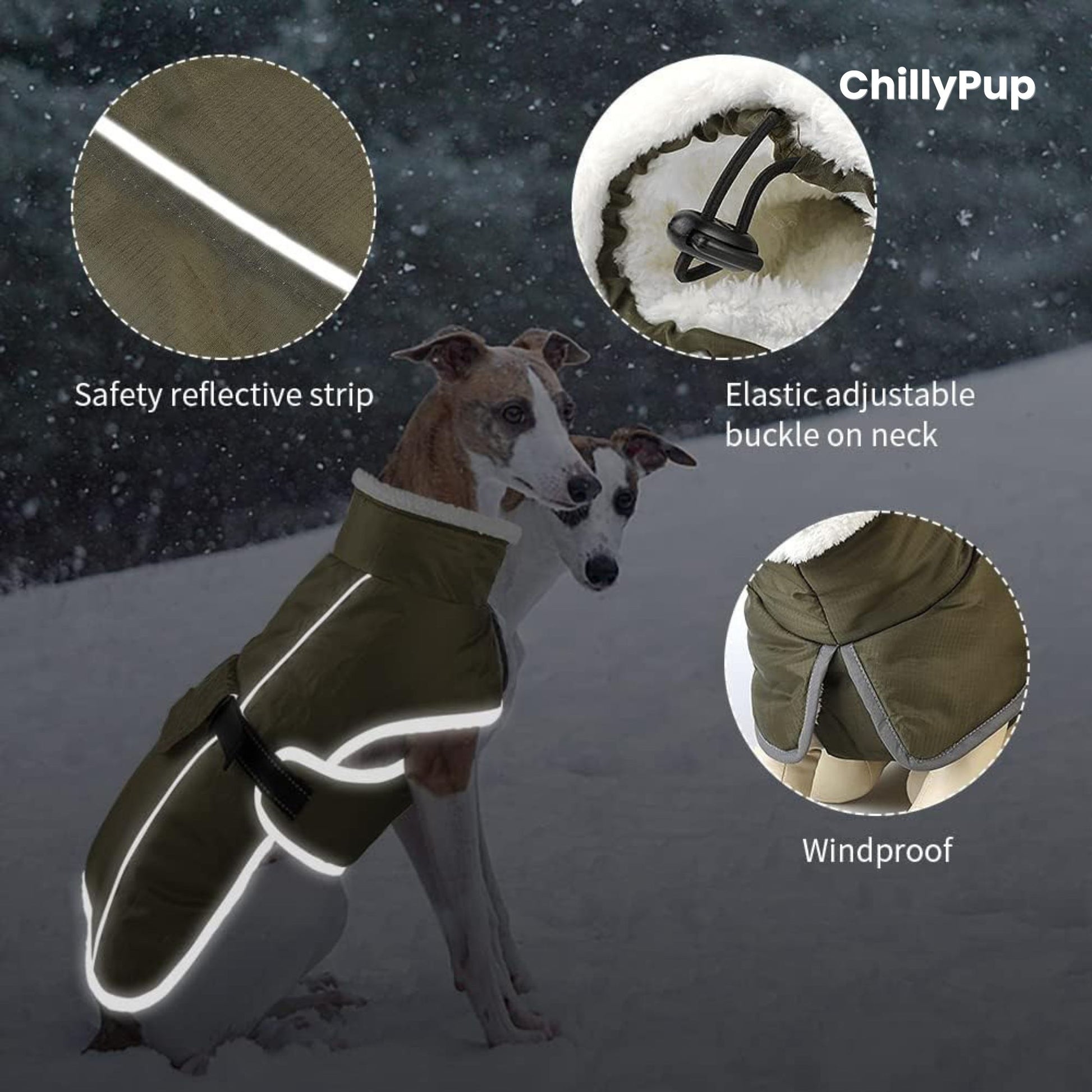 Dog wearing a green raincoat with reflective strip, elastic adjustable neck, and windproof features, set against a snowy background.