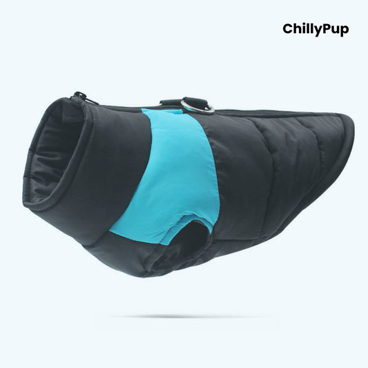 Dog puffer coat with 'ChillyPup' branding on a white background