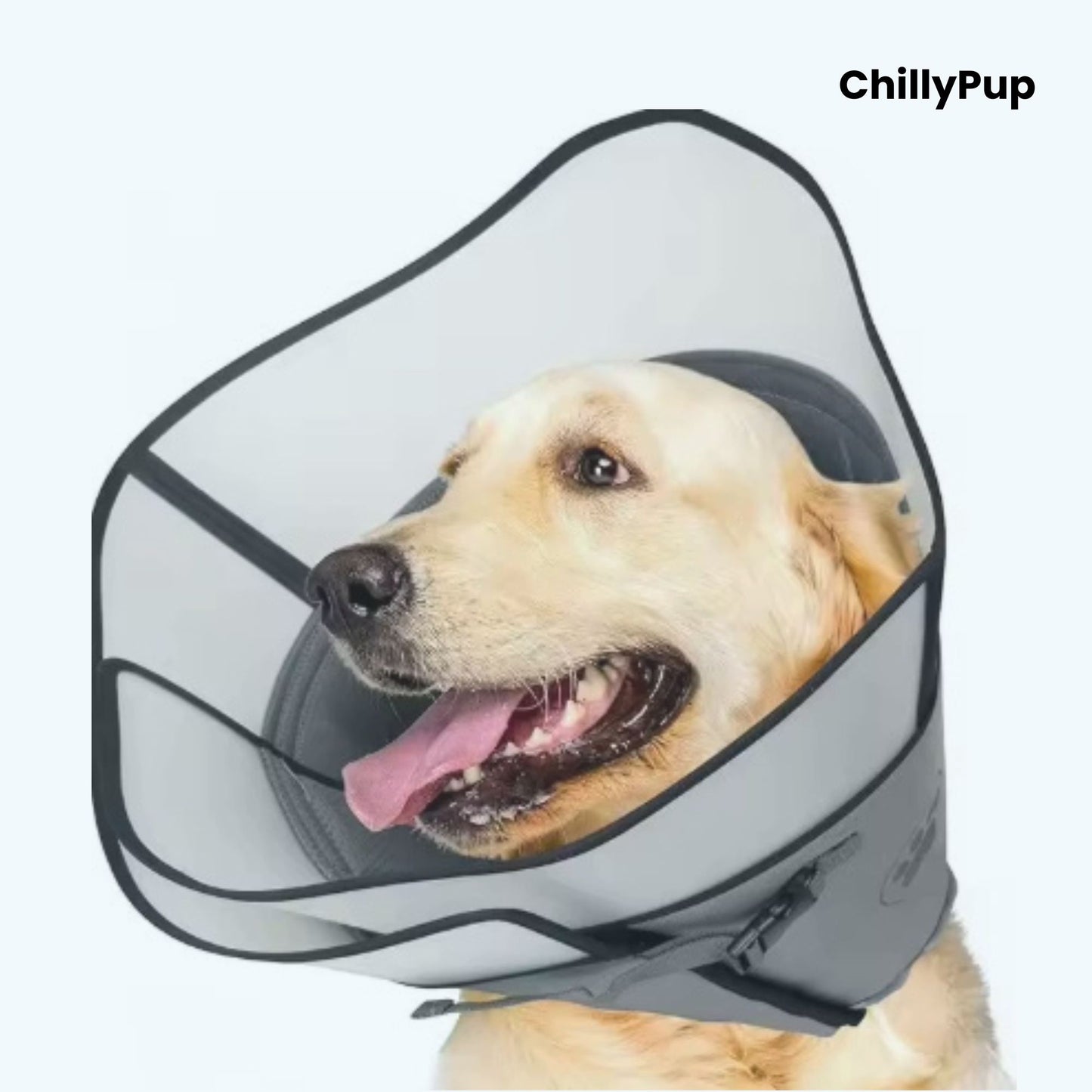 Reinforced Recovery Dog Cone – Soft Padded Protective Collar