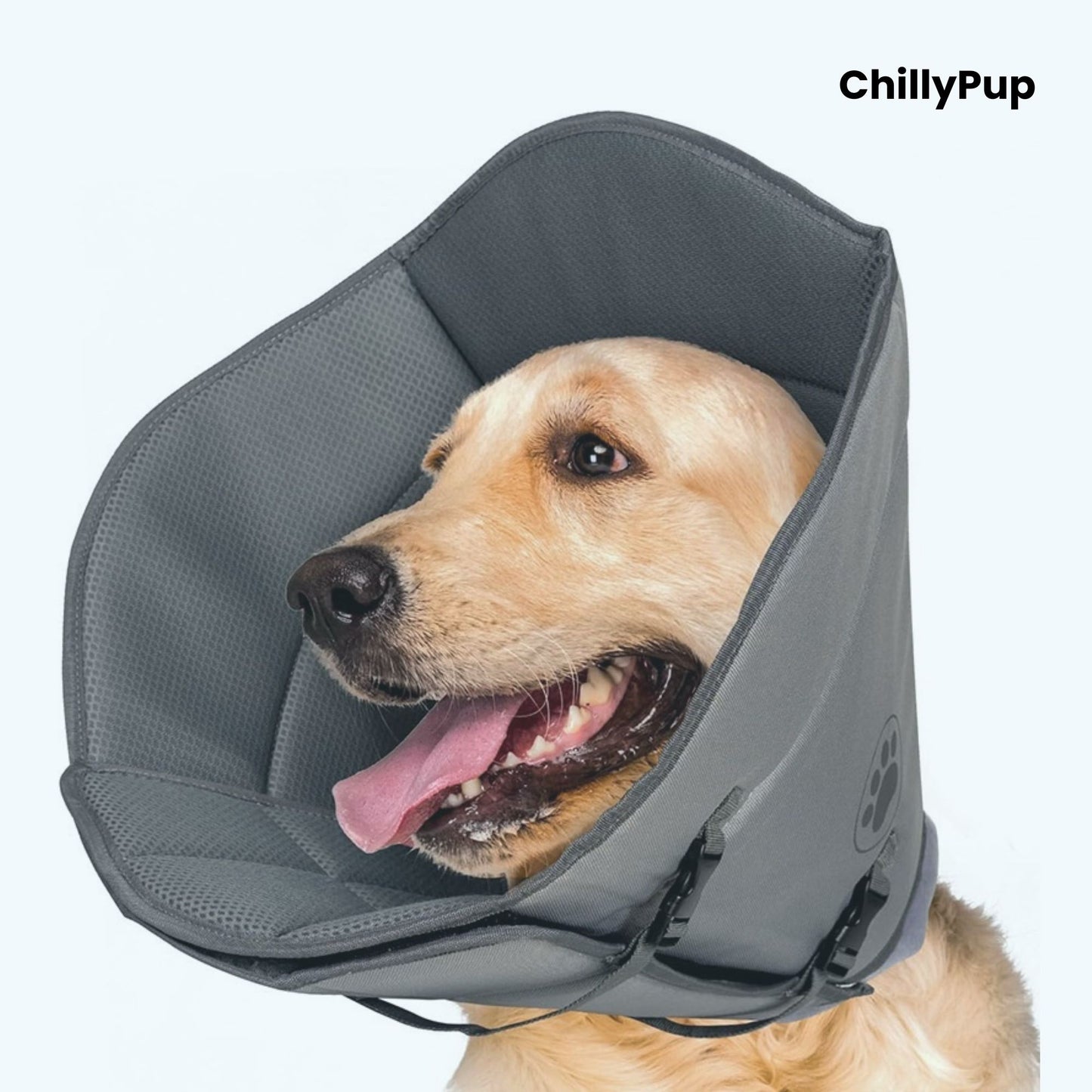 Reinforced Recovery Dog Cone – Soft Padded Protective Collar