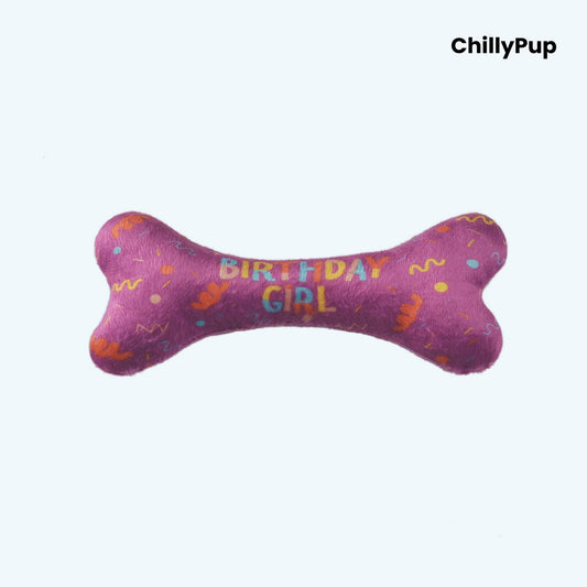 Pink bone-shaped toy with 'Birthday Girl' text and colorful patterns on a white background, branded 'ChillyPup'.