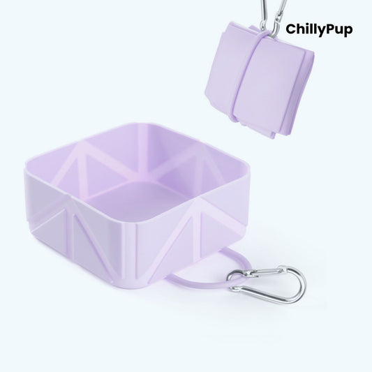 Purple foldable travel dog bowl with ChillyPup branding.