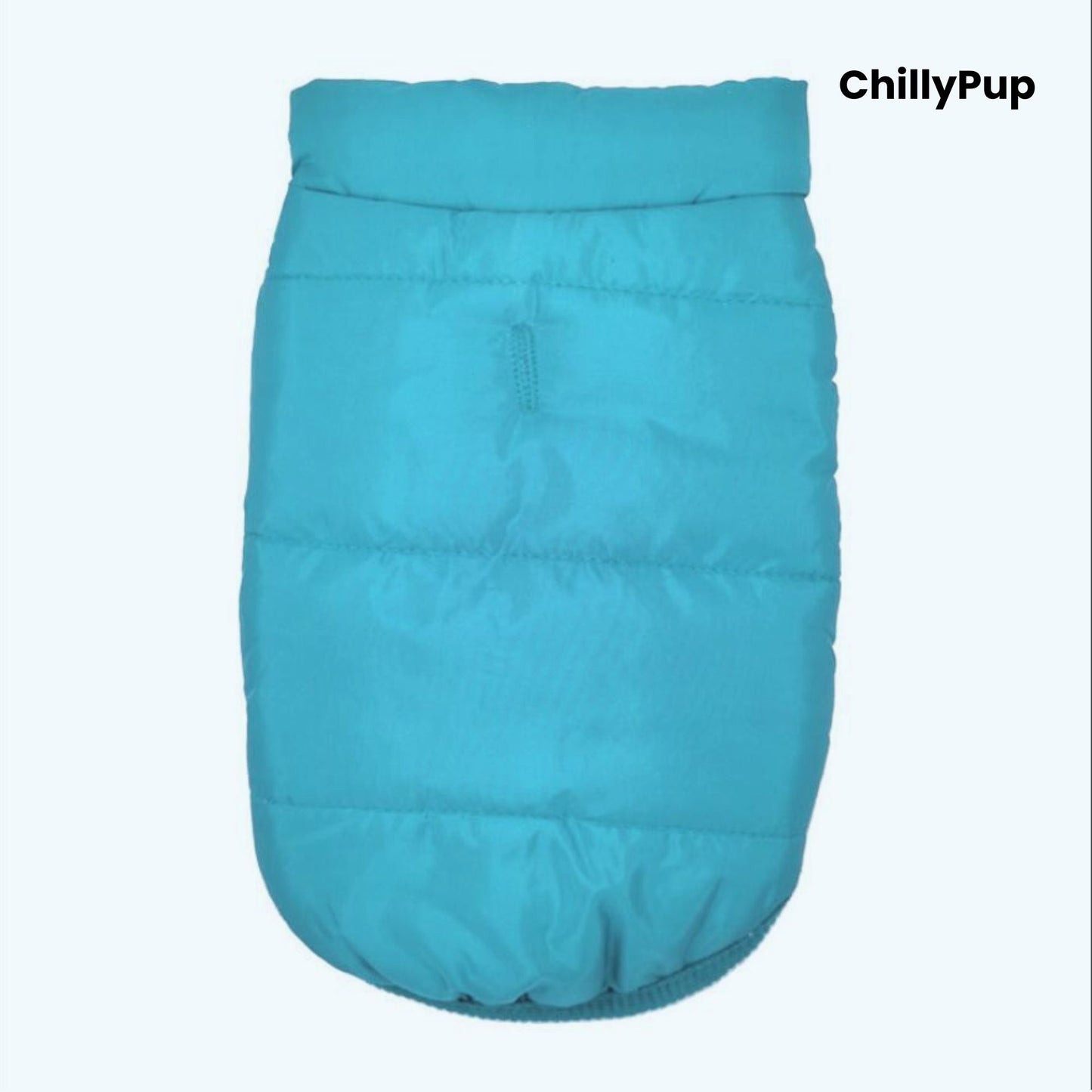 Blue dog coat with 'ChillyPup' branding on a white background