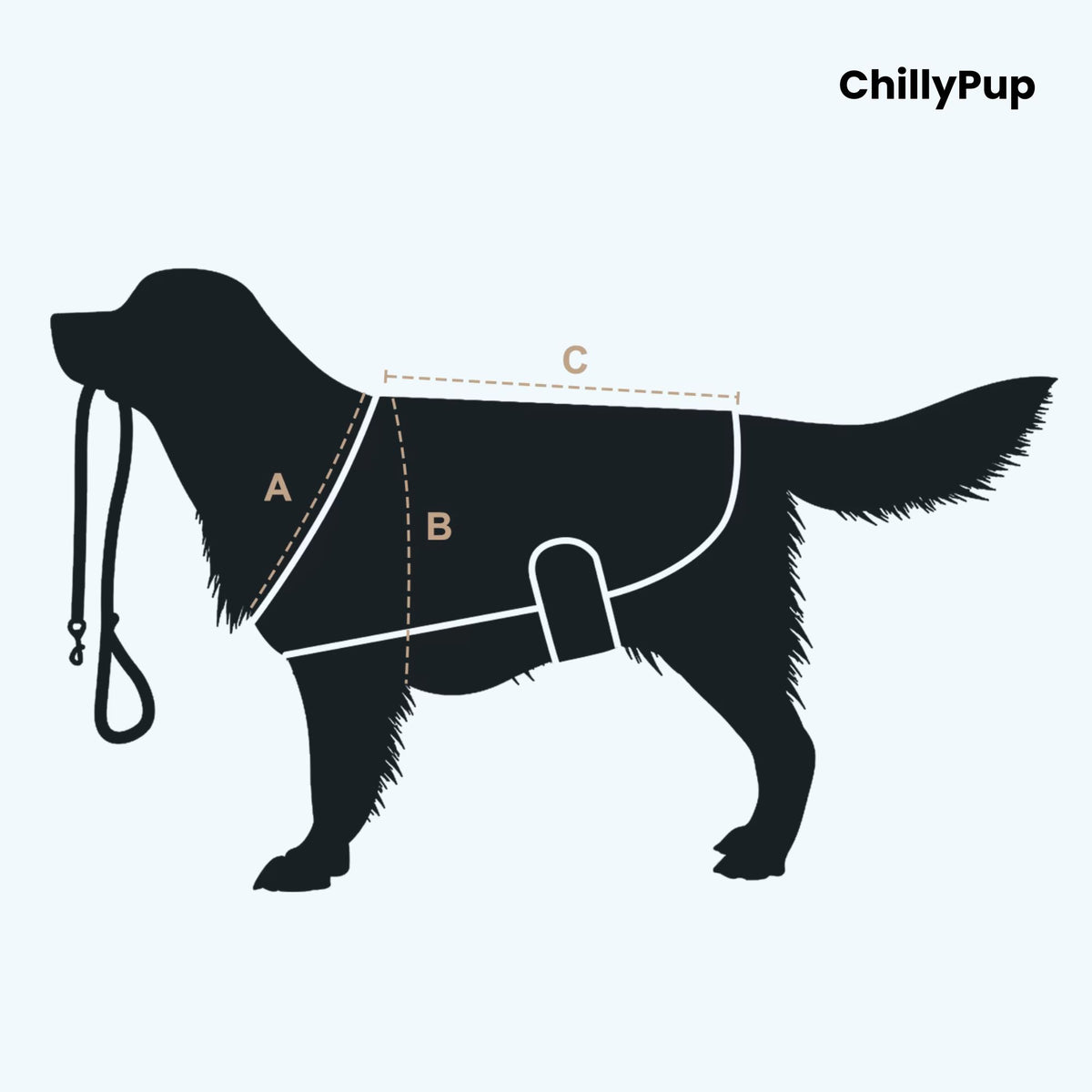 Silhouette of a dog with measurement lines and 'ChillyPup' branding on a light blue background