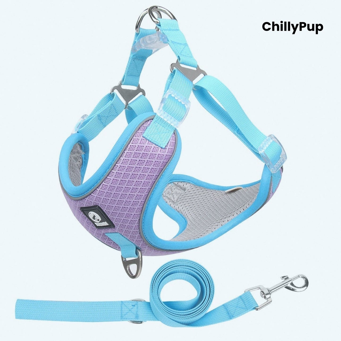 Dog harness and lead set with 'ChillyPup' branding on a white background