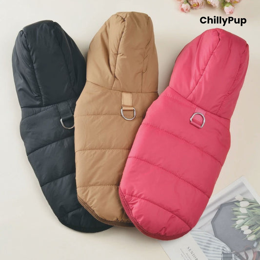 Three dog coats in black, brown, and pink with 'ChillyPup' branding on a light background.