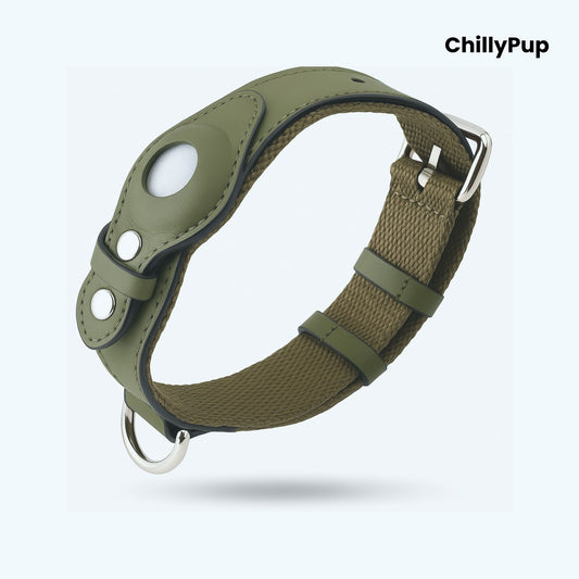Green dog collar with a metallic clasp and section for Apple Airtag on a white background, branded 'ChillyPup'.