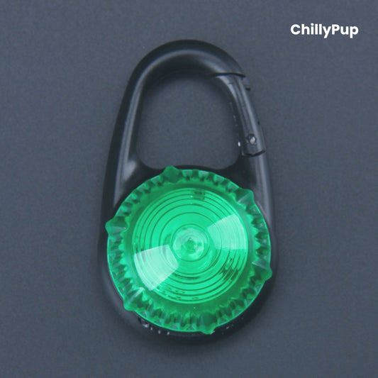LED dog light with black carabiner on a grey background, branded 'ChillyPup'.
