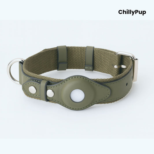 Green AirTag dog collar with a metallic clasp on a white background, branded 'ChillyPup'.