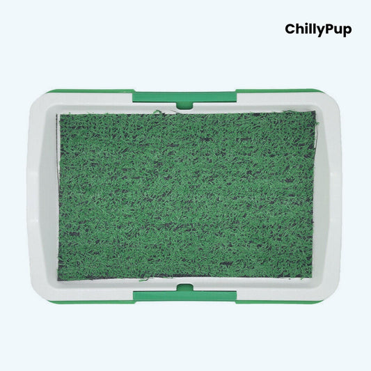 Green and white pet product with 'ChillyPup' branding on a white background