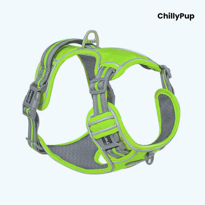 Light Green and grey dog harness with 'ChillyPup' branding on a white background