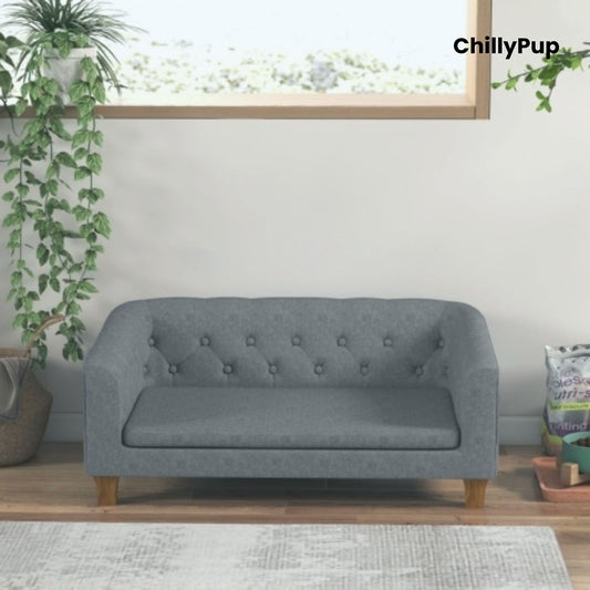 Grey tufted sofa in a room with plants and a window.