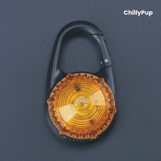 LED dog light with black carabiner on a grey background, branded 'ChillyPup'.