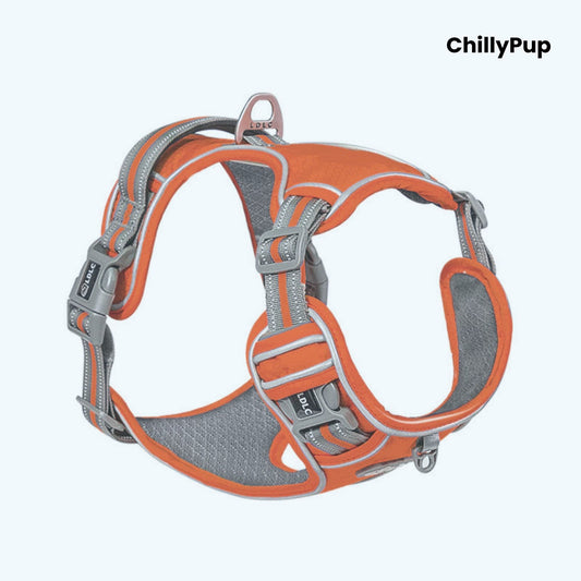 Orange and grey dog harness with 'ChillyPup' branding on a white background