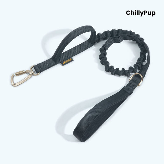 Black dog lead with bungee feature on a white background, branded 'ChillyPup'.