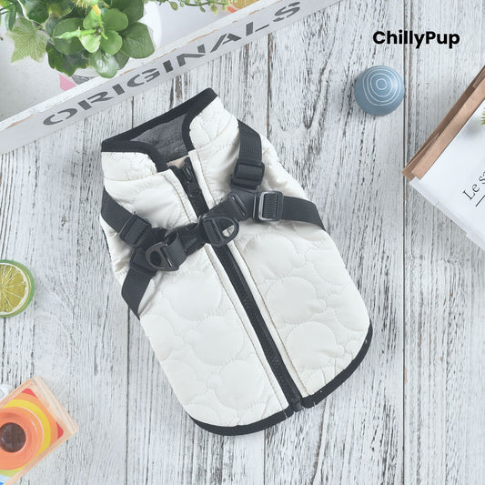 White dog coat with black straps on a wooden surface, branded 'ChillyPup'.