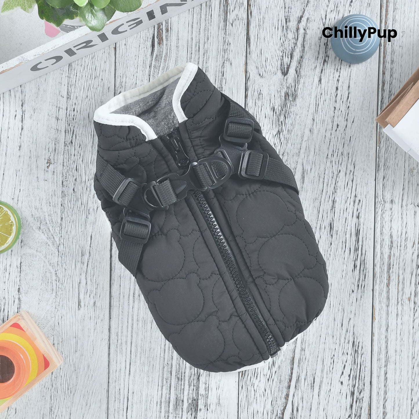 Black dog coat with black straps on a wooden surface, branded 'ChillyPup'.