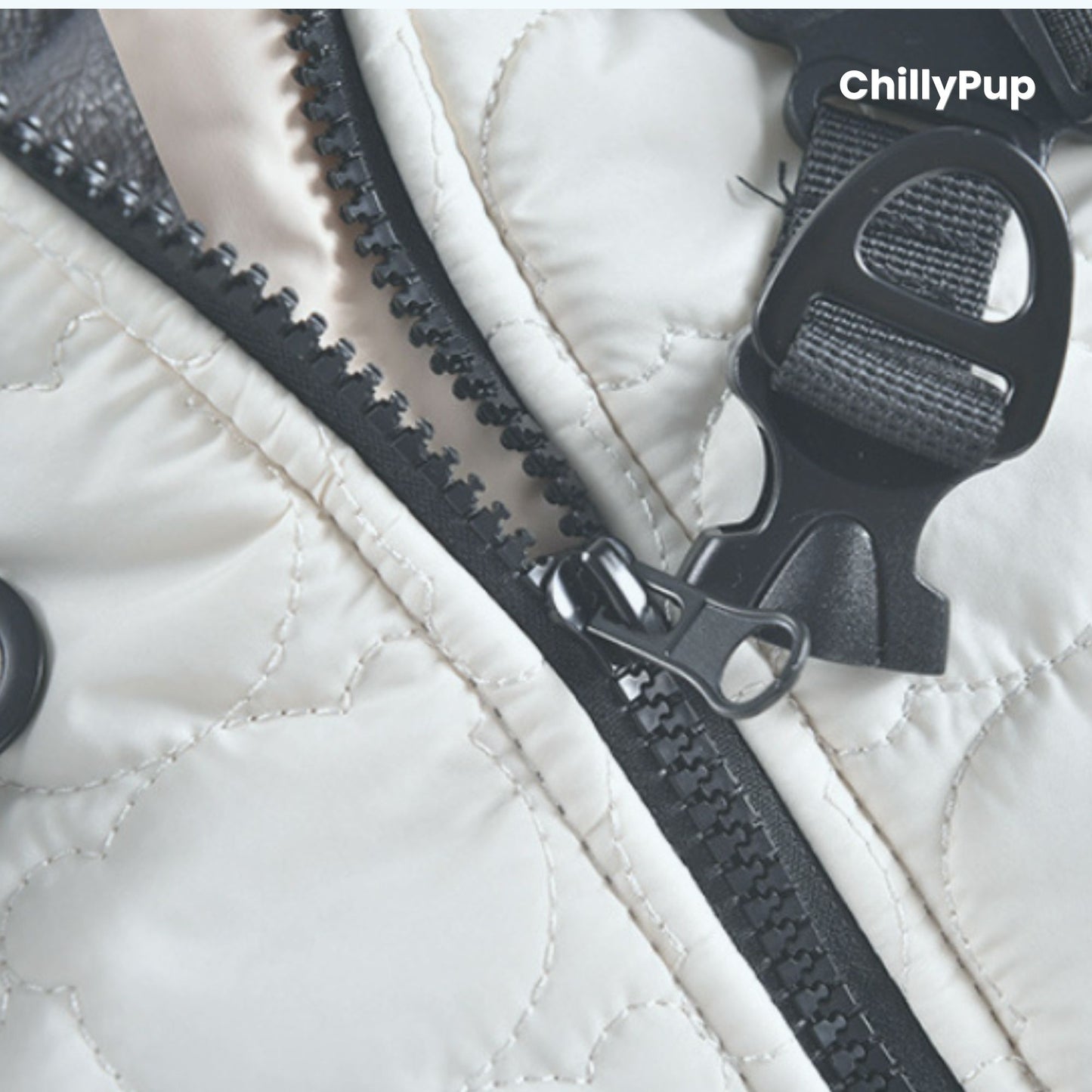 Close-up of a quilted jacket with a zipper and 'ChillyPup' branding.