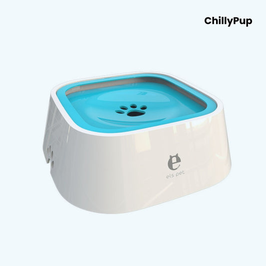 White and blue pet water bowl with 'ChillyPup' branding on a light grey background