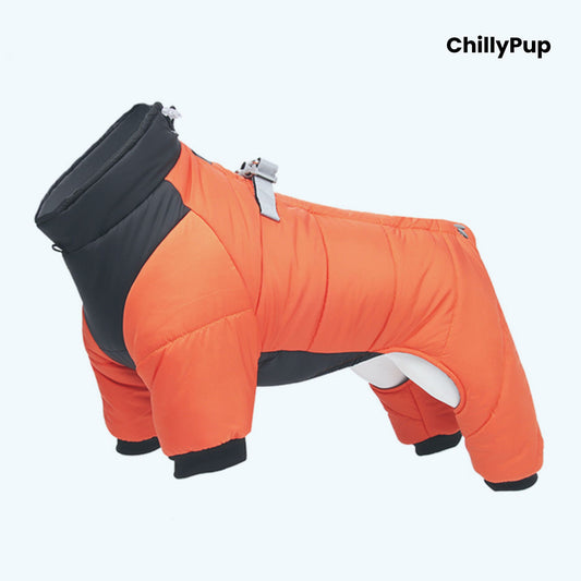 Full body dog coat on a white background with Chillypup branding