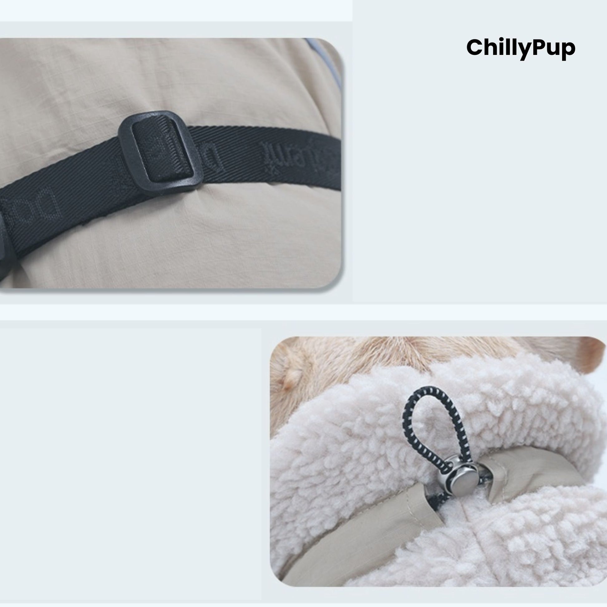 Dog wearing a fluffy collar with 'ChillyPup' branding, showing details like a velvet collar and buttonhole design.