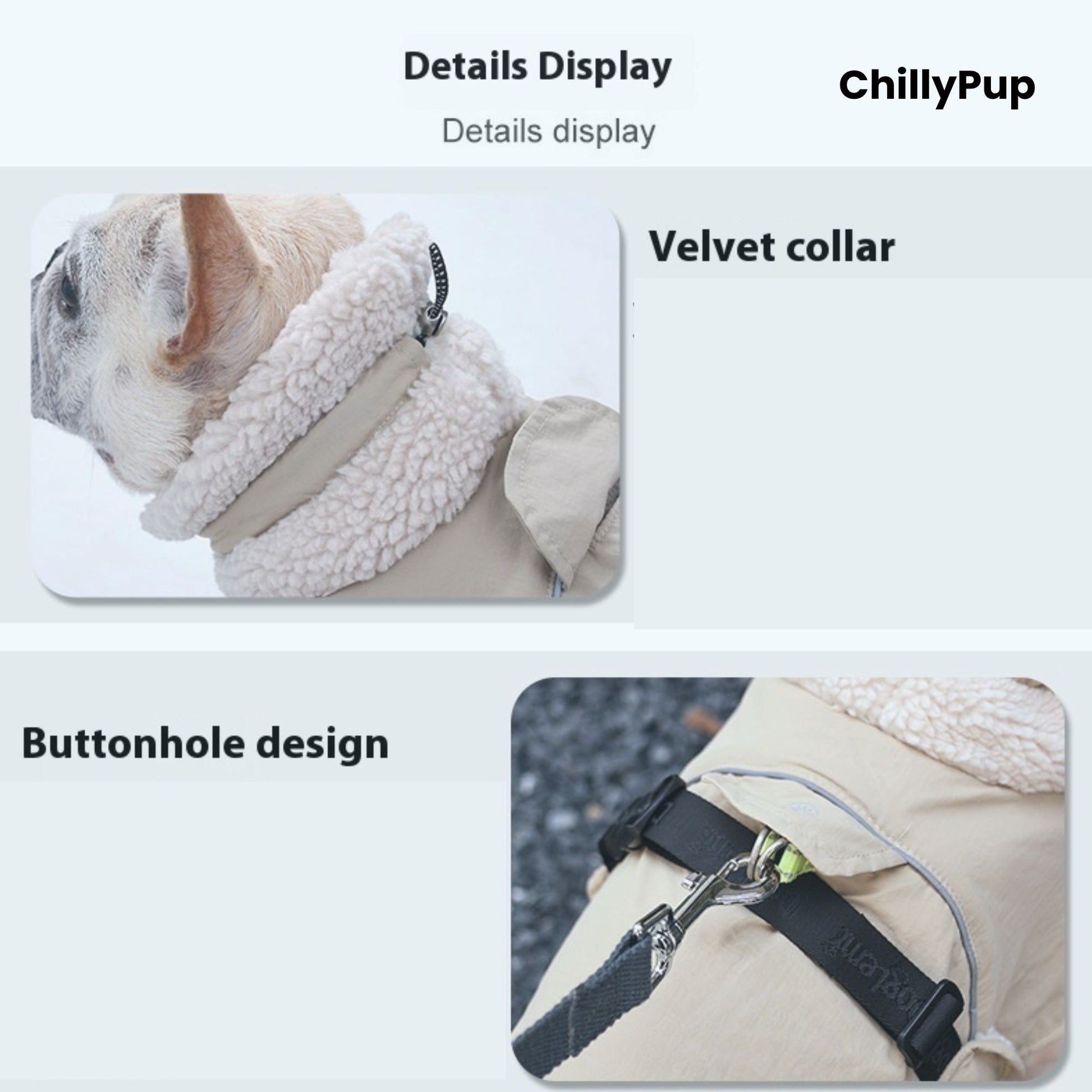 Dog wearing a fluffy collar with 'ChillyPup' branding, showing details like a velvet collar and buttonhole design.