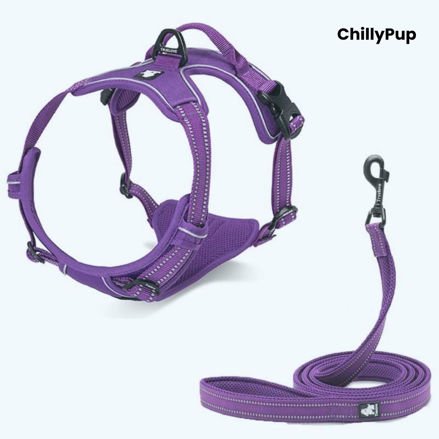 Purple dog harness and lead set with 'ChillyPup' branding on a white background