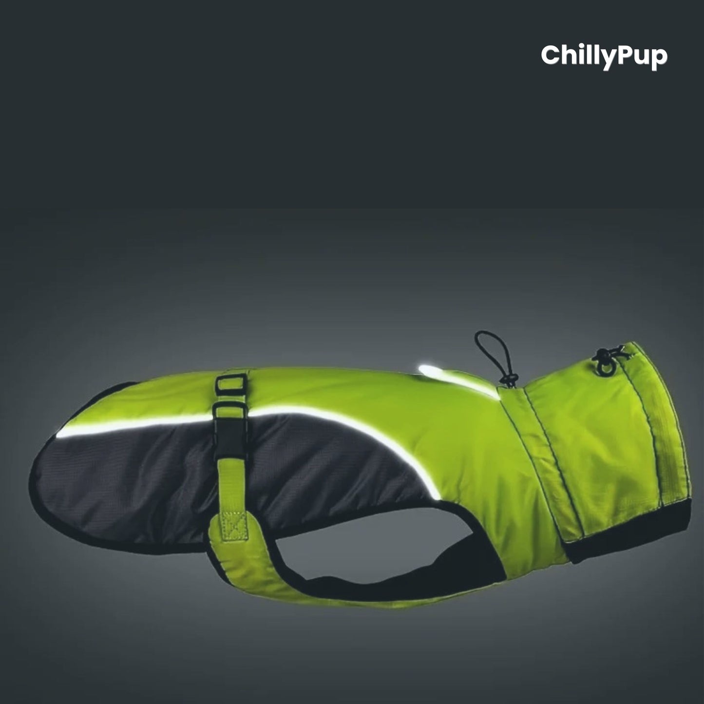 Dog coat with reflective stripes on a grey background, branded 'ChillyPup'.
