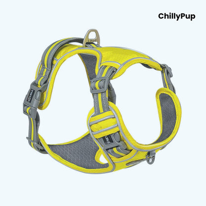 Yellow and grey dog harness with 'ChillyPup' branding on a white background