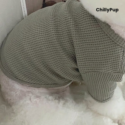Small dog wearing the Bramble Waffle Knit Dog Jumper in Sage