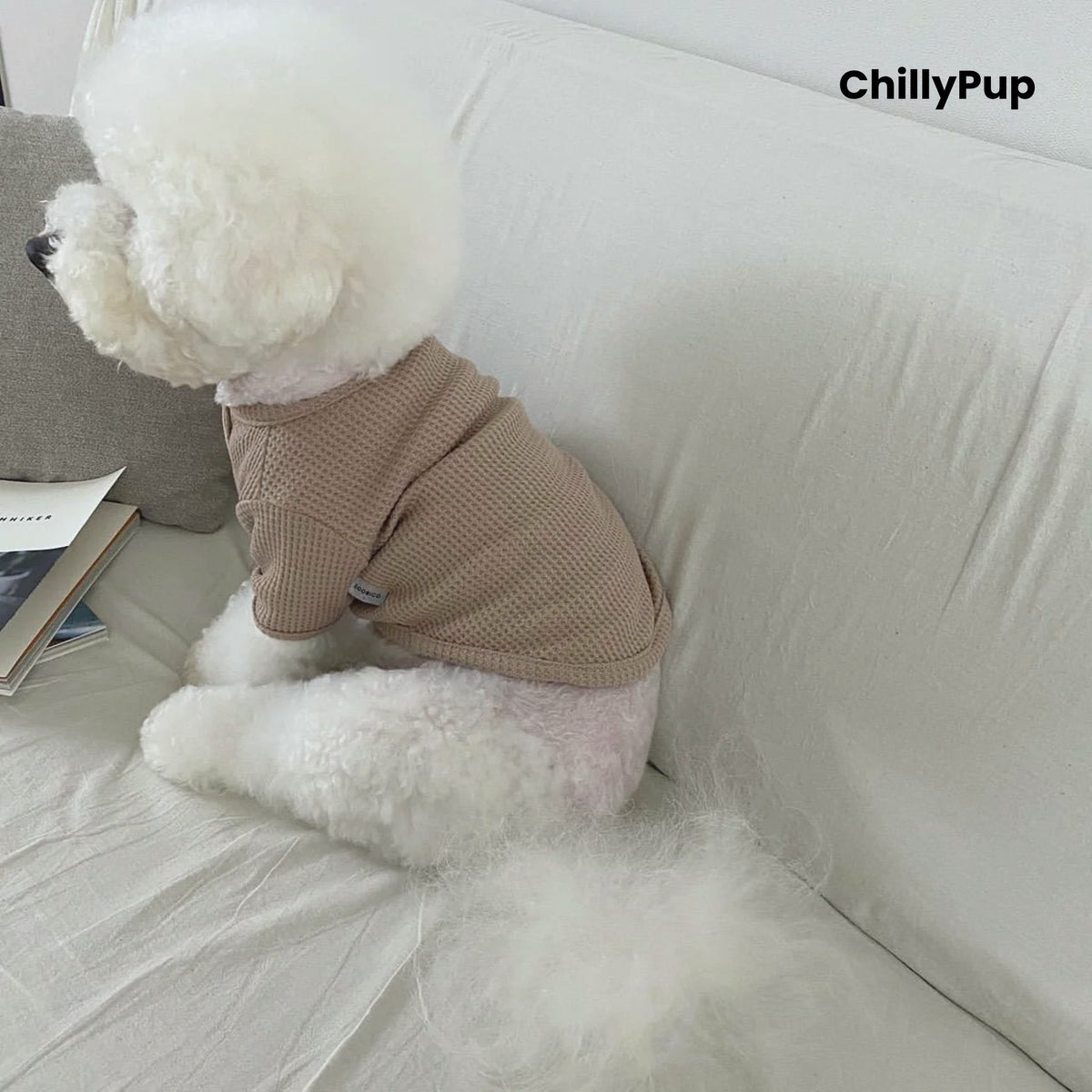 Small dog wearing the Bramble Waffle Knit Dog Jumper in Taupe