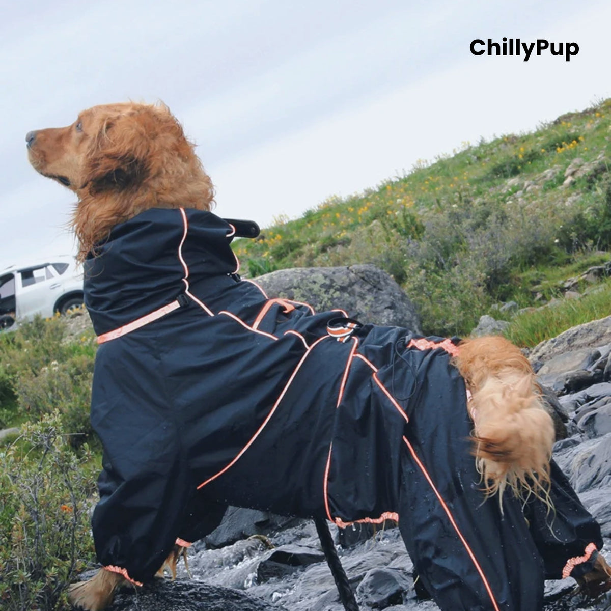 Side view of the Cloudburst Belly-Zip Dog Suit in Black with reflective piping
