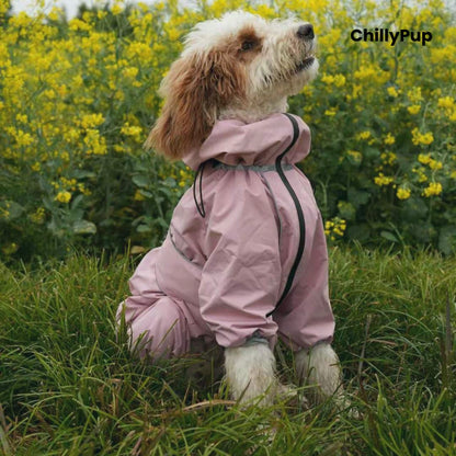 Dog wearing the Cloudburst Belly-Zip Dog Suit in Pink among yellow flowers